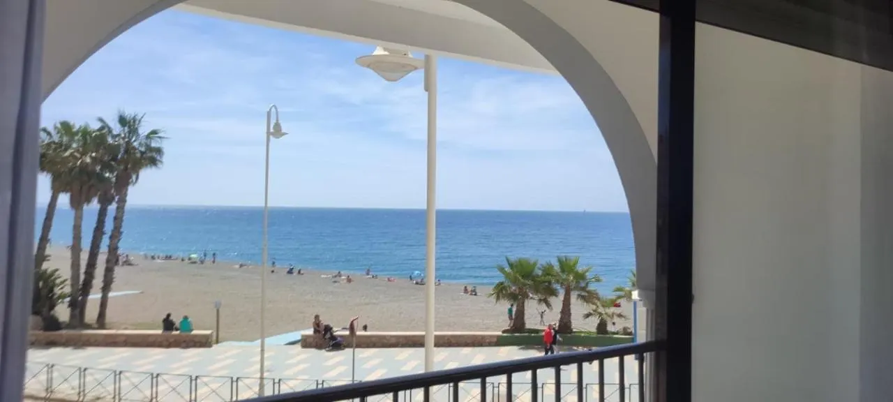 Al-Andalus Suite Tropical contacts